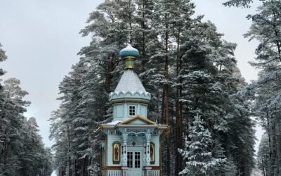 С первым днем зимы!