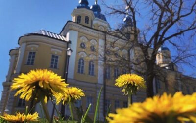 28 мая — день памяти обретения мощей преподобного Арсения Коневского